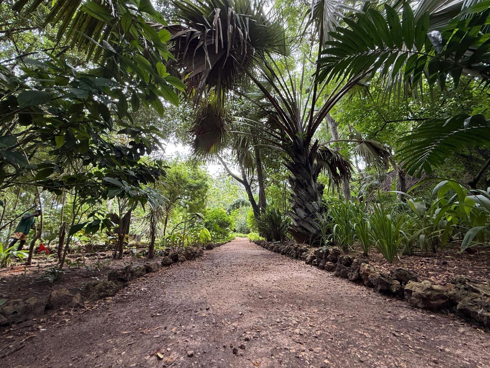 Mbweni Ruins & Gardens Previously Jungle Paradise Zanzibar Exterior foto