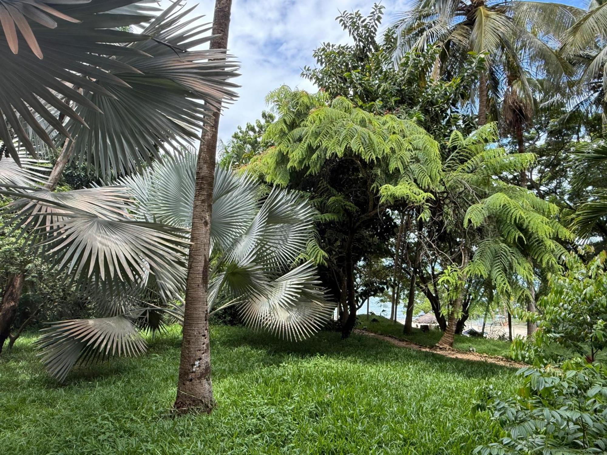 Mbweni Ruins & Gardens Previously Jungle Paradise Zanzibar Exterior foto